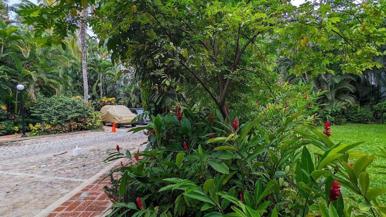 Marbella Villa Puerto Vallarta Kültér fotó
